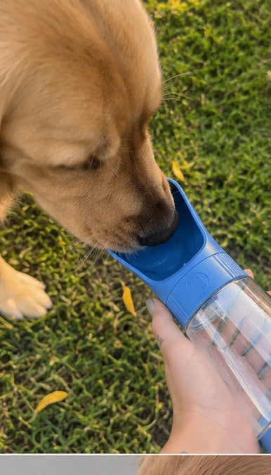 2 In 1 Portable Dog Water Bottle