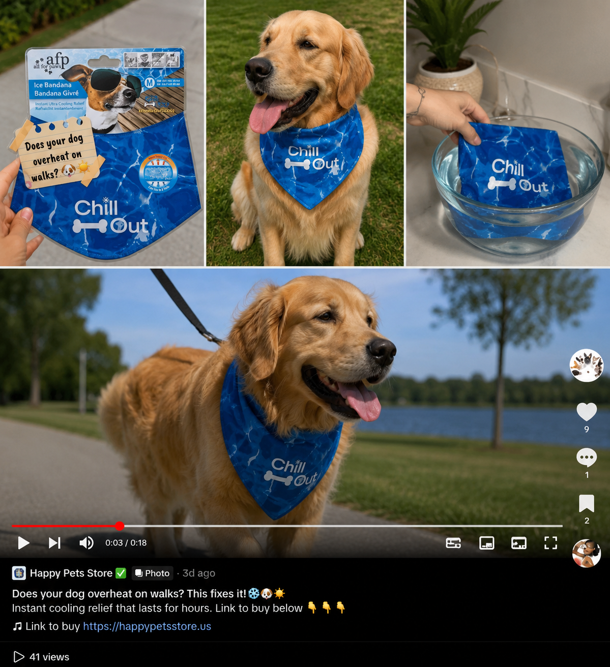 “Dog Cooling Neck Wrap — Ice Bandana for Dogs”