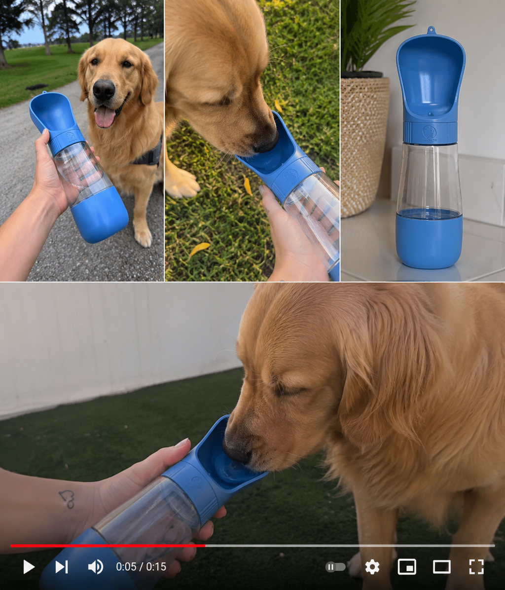 2 In 1 Portable Dog Water Bottle