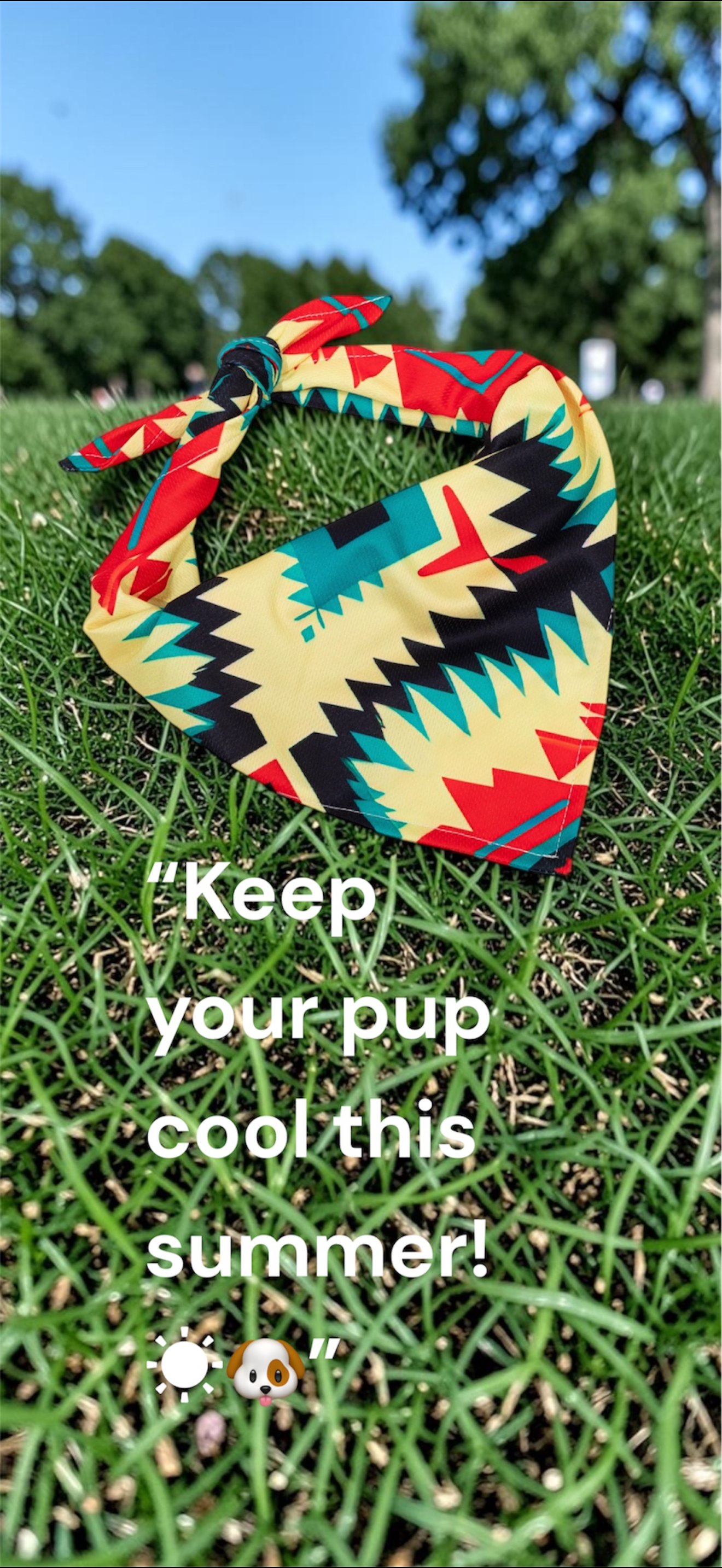 Dog Cooling Bandana Cooling Bandana for Dogs Dog Bandanas Great for Girl and boy Dogs Large Dog and Puppy Bandanas Breathable mesh Material Great for hikes and Warm Weather (Boho)